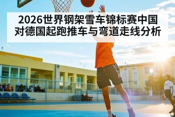2026世界钢架雪车锦标赛中国对德国起跑推车与弯道走线分析